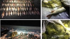 Браконьеры на Харьковщине наловили лещей и щук