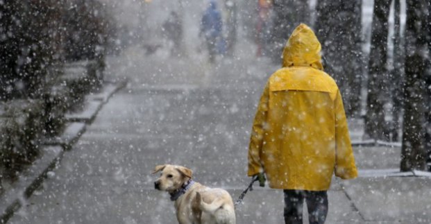 Мокрый снег, метель, гололед: погода в Харькове на 21 января