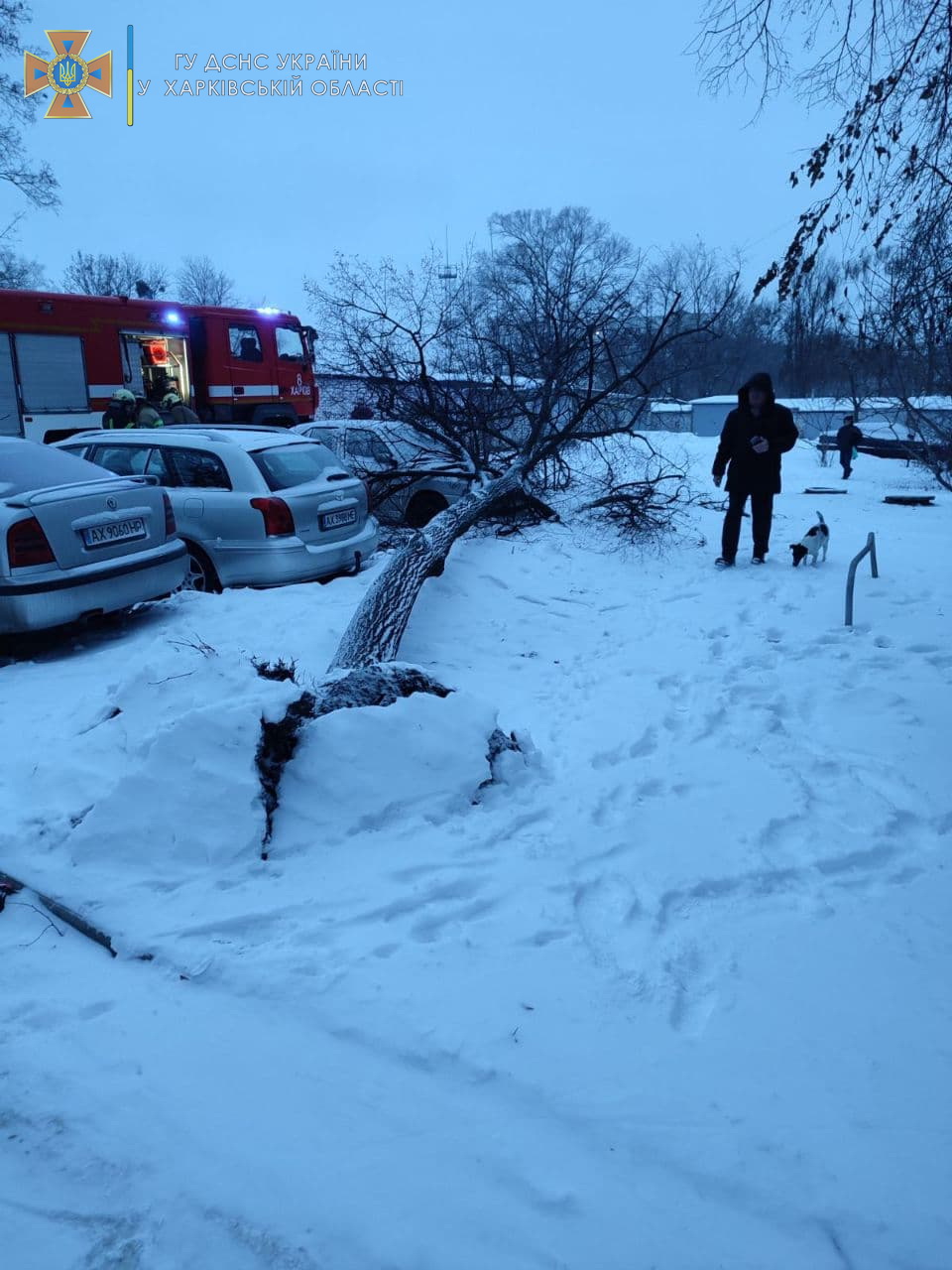 Непогода. Харьковские спасатели помогают водителям (фото)