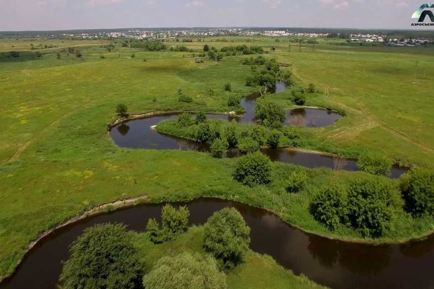 Смерть уток на реке Уды: эко-активисты получили результаты анализа воды