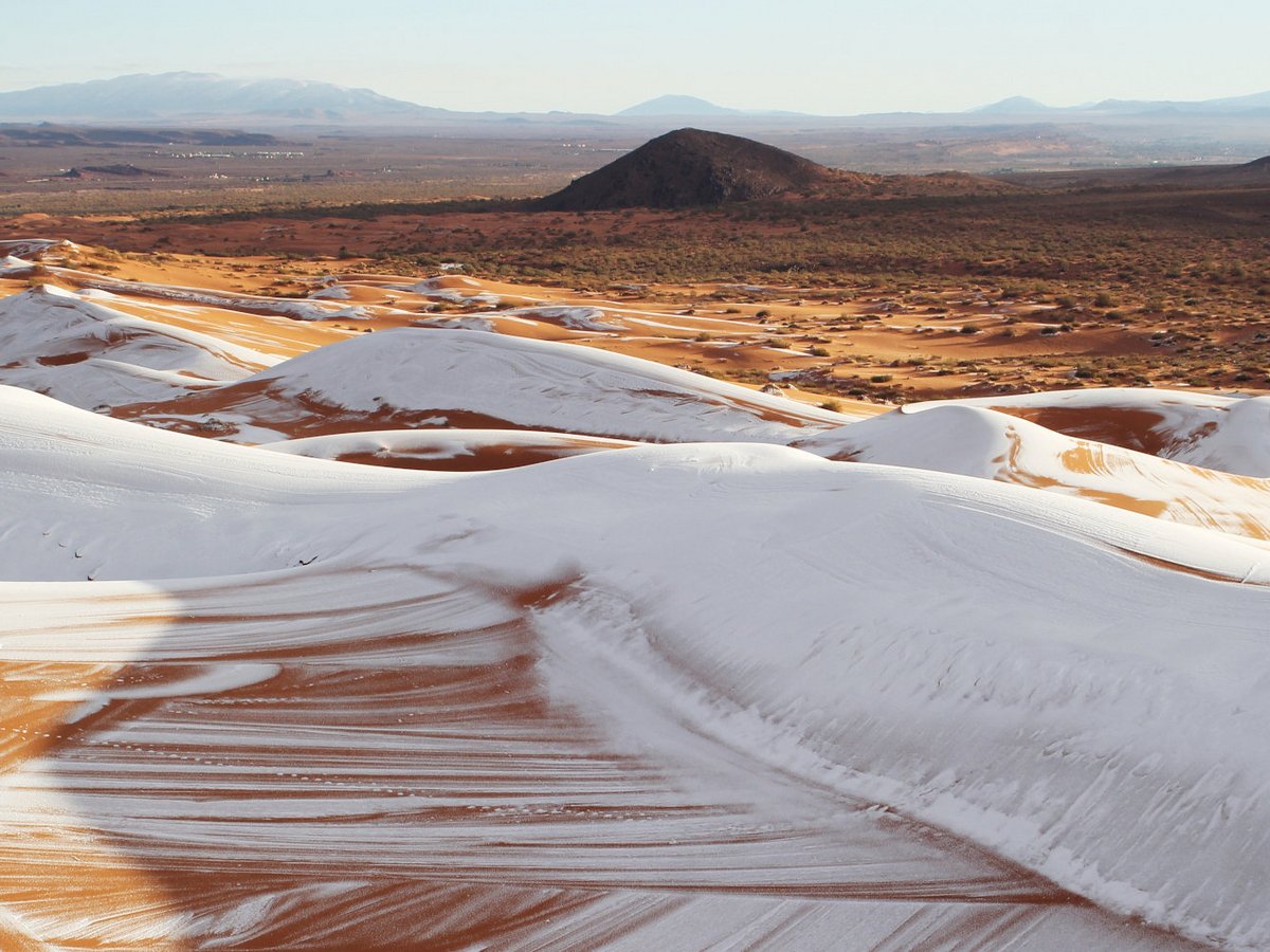 Сахару засыпало снегом (фото)
