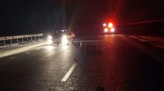 Вызвать Ярославского на допрос в Харькове будет «достаточно сложно» — юрист