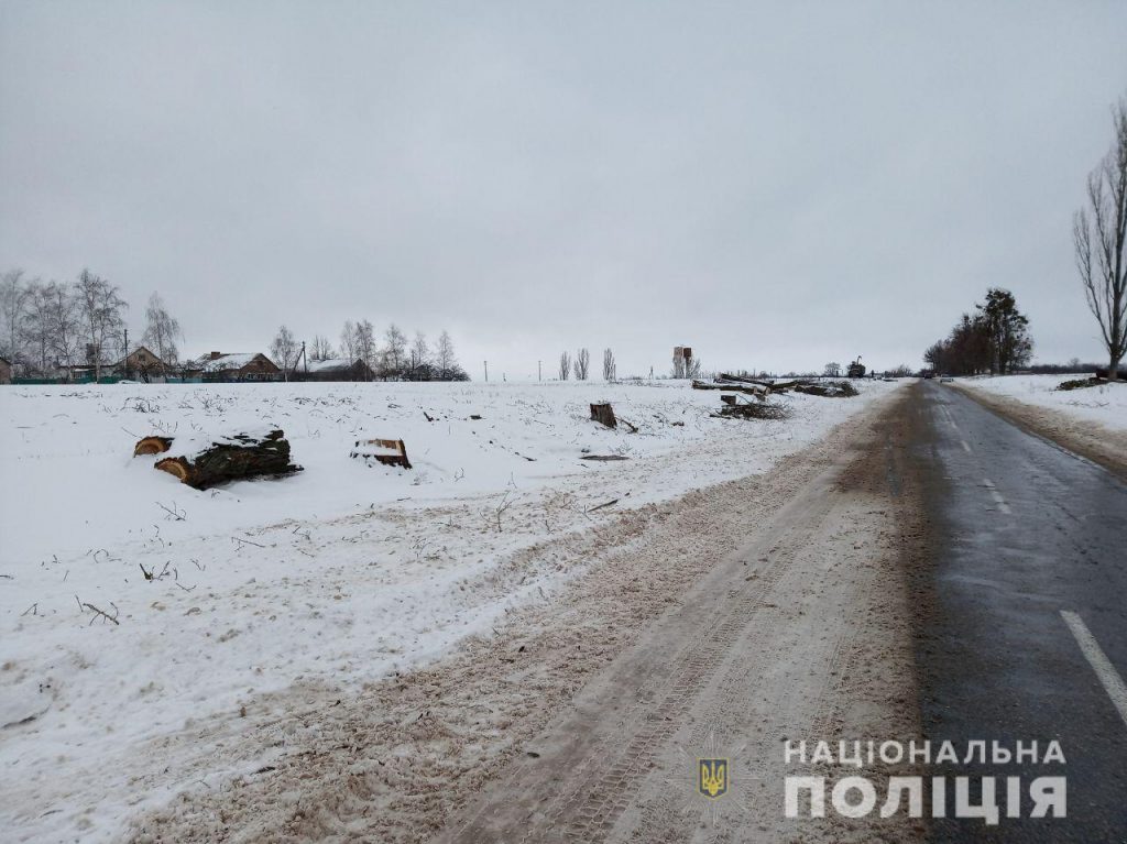 Полицейские задержали незаконного лесоруба (фото)