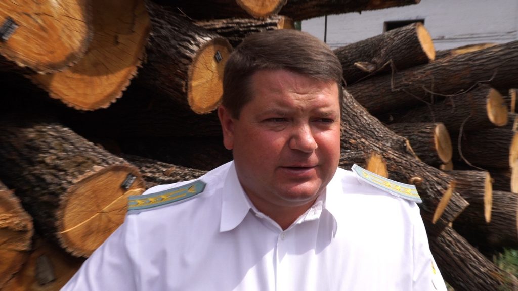 Экс-директор Гутянского лесхоза осужден на 5 лет и 6 месяцев лишения свободы