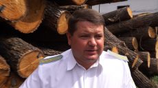 Засуджений за хабар ексголова харківського лісгоспу Сиса втік за кордон – ЗМІ
