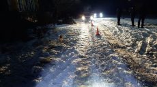 ДТП. Найденный на обочине дороги харьковчанин был пьян и обморожен