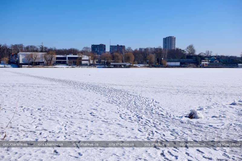 В Харькове планируют реконструировать Алексеевский лугопарк