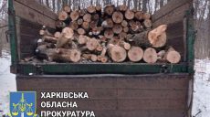 На Харьковщине посадили «черного лесоруба»