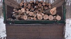 Под Харьковом полиция остановила два грузовика с древесиной без документов (фото)