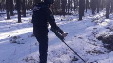 Под Харьковом в лесу нашли снаряд (фото)