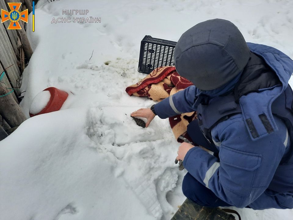 В Харькове в частном доме нашли гранату (фото)