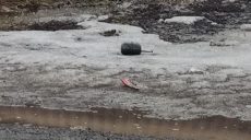 Взрывотехники обезвредили страйкбольные гранаты в Харькове (фото)