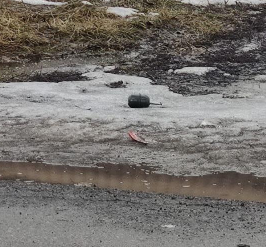 Взрывотехники обезвредили страйкбольные гранаты в Харькове (фото)