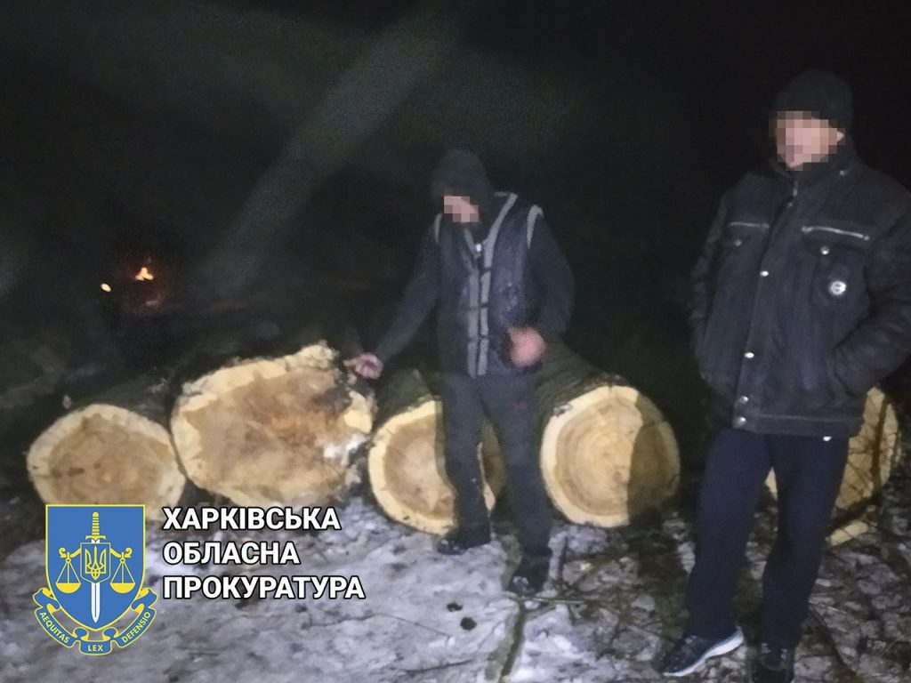 Двух «черных лесорубов» из Харьковской области разоблачили при погрузке срубленной древесины (фото)