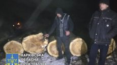 Двух «черных лесорубов» из Харьковской области разоблачили при погрузке срубленной древесины (фото)
