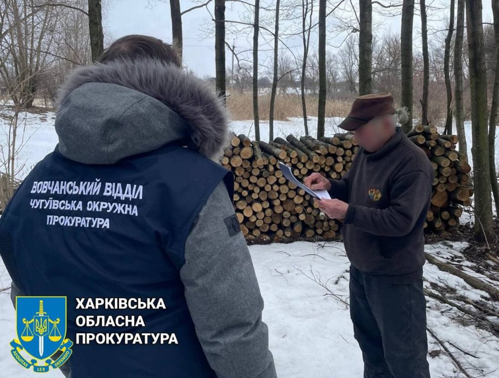 «Черному лесорубу», срубившему более 150 деревьев в Харьковской области, сообщили о подозрении (фото)
