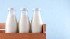 В Дании создали веганский аналог коровьего молока  Do Not! Call Me M_lk