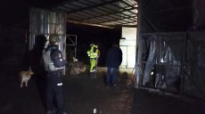 Сутки на Донбассе: четверо военных ранены, двое — погибли, есть потеря среди гражданских