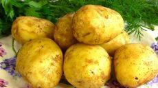 Цены на ранние овощи в Украине рекордно подорожали