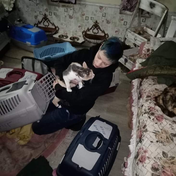 Волонтеры из Днепра эвакуировали животных из харьковского приюта