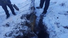 Саперы на Харьковщине продолжают обезвреживать неразорвавшиеся снаряды (фото)