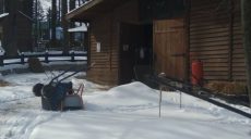В Харькове в экопарке животные гибнут от стресса (фото)