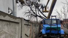 Бригады «Харьковзеленстроя» убирают поврежденные деревья