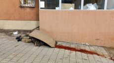 В Мариуполе зафиксированы массовые захоронения