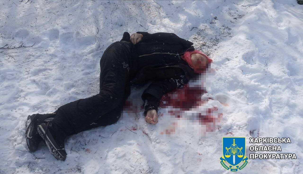 При вражеском авиаударе по поселку в Харьковской области умерла пенсионерка (фото)