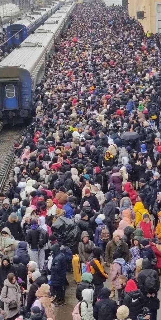 В Житомире харьковчан-беженцев размещают в школах и детских садах