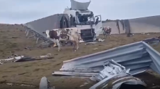 Оккупанты разрушили молочную ферму под Харьковом (фото)