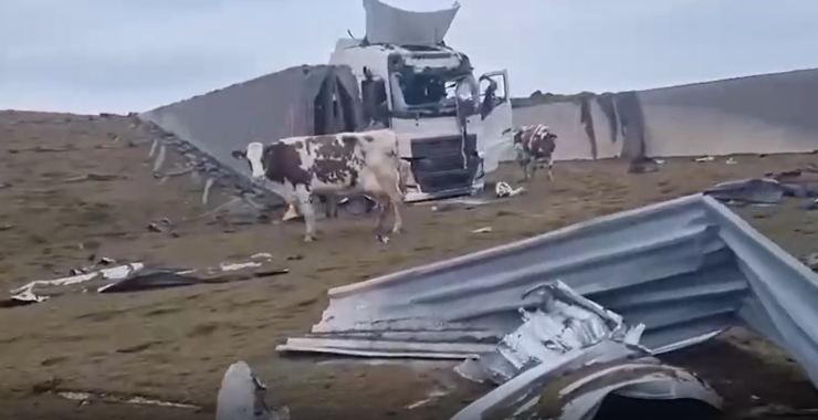 Оккупанты разрушили молочную ферму под Харьковом (фото)