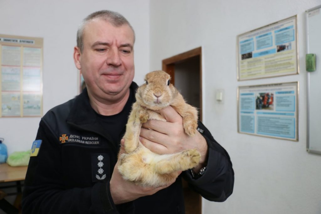 В Харькове во время пожара бойцы ГСЧС спасли кролика (фото)
