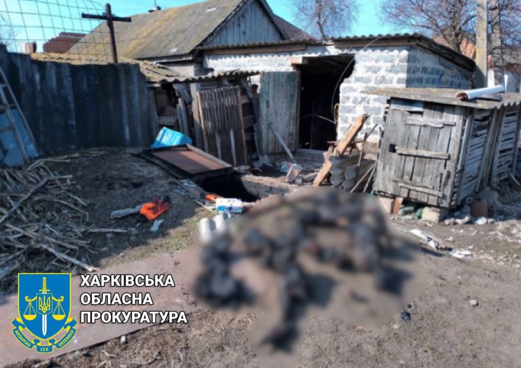 В селе в Харьковской области нашли сожжённые оккупантами тела мирных жителей (фото)