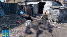 В селе в Харьковской области нашли сожжённые оккупантами тела мирных жителей (фото)