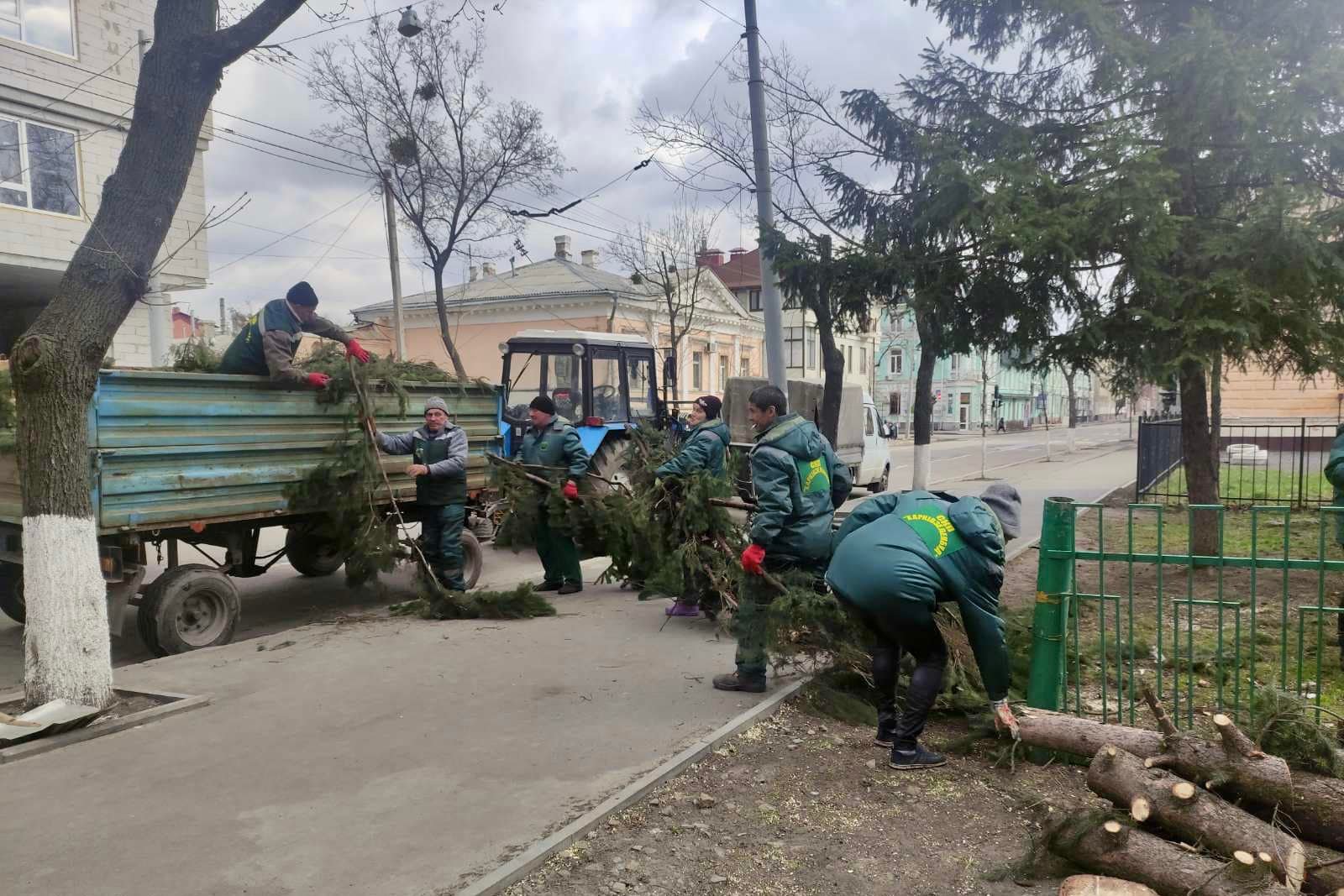 В Харькове распиливают деревья, упавшие от обстрелов