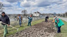 В Харькове разбивают места под клумбы и убирают в парках (фото)