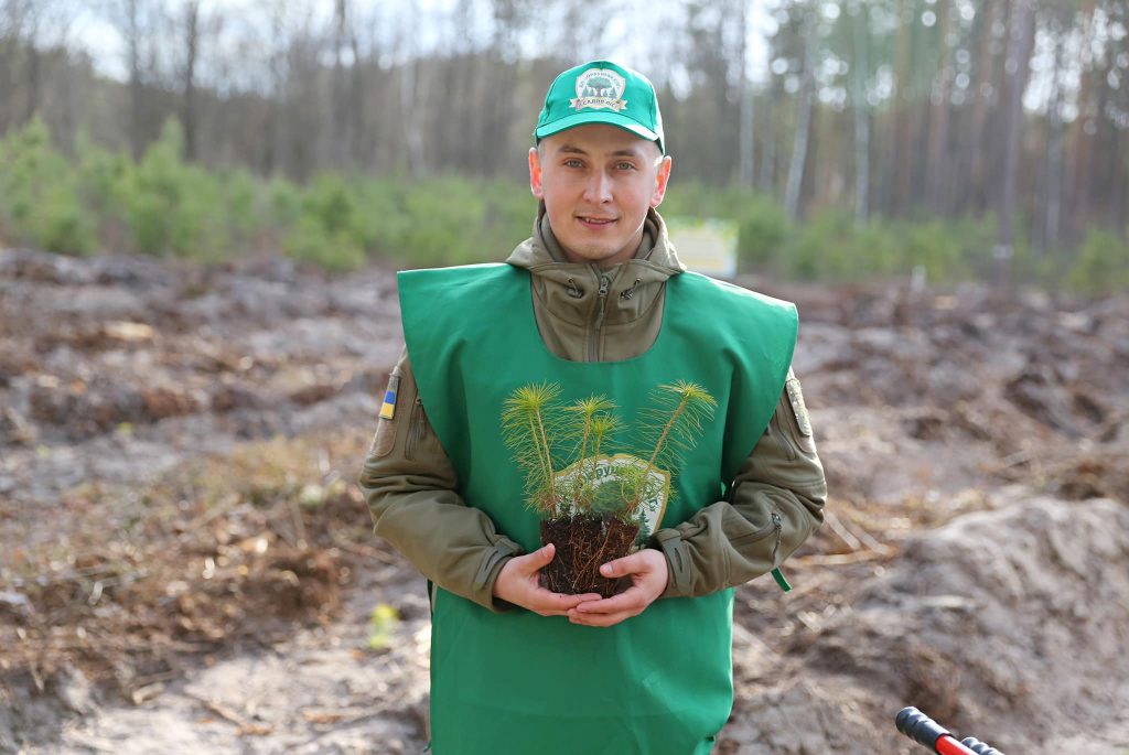 На Харьковщине во время войны  высаживают леса: за 3 недели — 617 тыс. деревьев