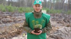 На Харьковщине во время войны высаживают леса: за 3 недели — 617 тыс. деревьев