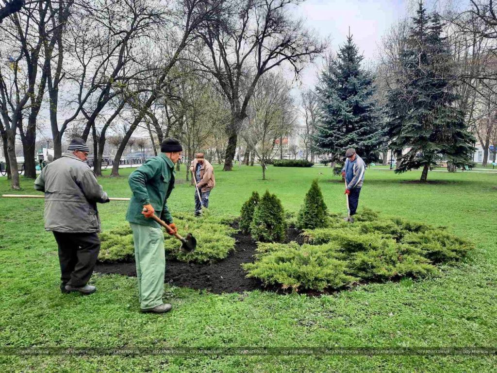 В Харькове в парках, скверах и аллеях косят газоны и вывозят мусор (фоторепортаж)