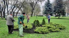 В Харькове в парках, скверах и аллеях косят газоны и вывозят мусор (фоторепортаж)