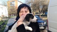 Жительница Львова, чей сын воюет за независимость Украины в Харьковской области, приютила собаку из Дергачей