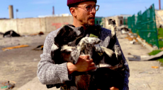Американский режиссер, который стал волонтёром в Украине, спас собаку из-под завалов в Дергачах