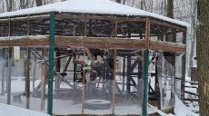Экопарка больше нет. Решается вопрос об усыплении хищников, — Фельдман
