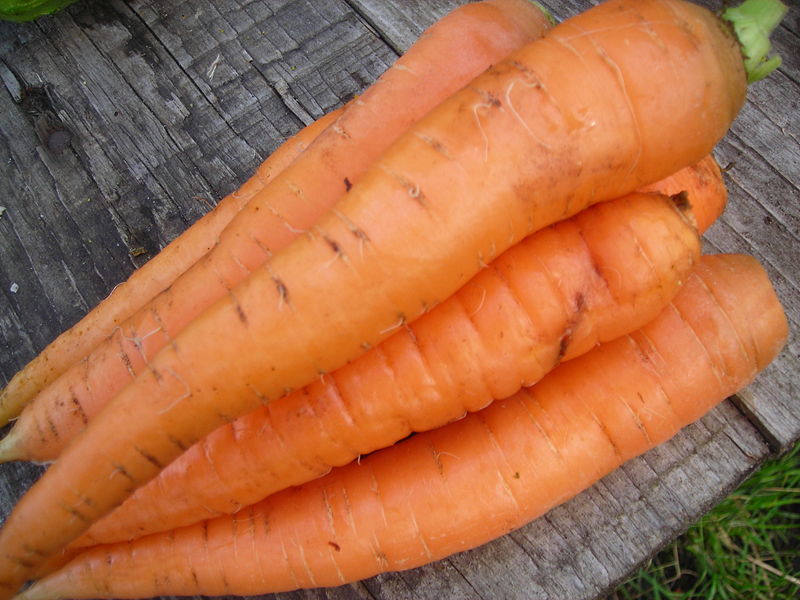 «Вторая армия мира» украла морковку в Харьковском экопарке