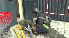На пожаре в Харькове спасли рыжего кота (видео)
