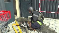 На пожаре в Харькове спасли рыжего кота (видео)