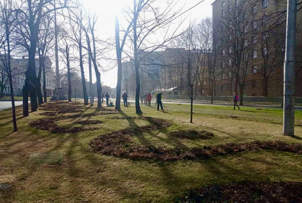 На проспекте Независимости в Харькове разбивают клумбы (фото)