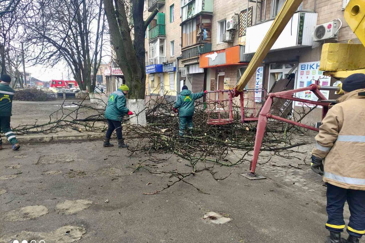 Харьковские коммунальщики обрезают поврежденные деревья