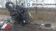 В МВД сообщили о еще трех телах, найденных у села Гусаровка на Харьковщине, среди убитых — ребенок